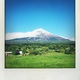 富士登山と富士山の色