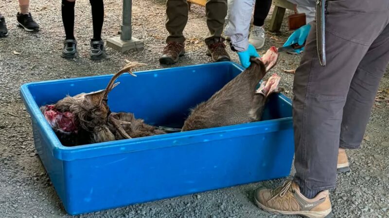 「ジビエと刃物」長瀞げんきプラザ主催事業