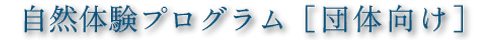 �x�m�R�E�������R�̌��v���O�����m�c�̌����n�i���痷�s���j