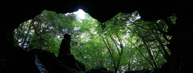 洞窟樹海探険 サブタイトル