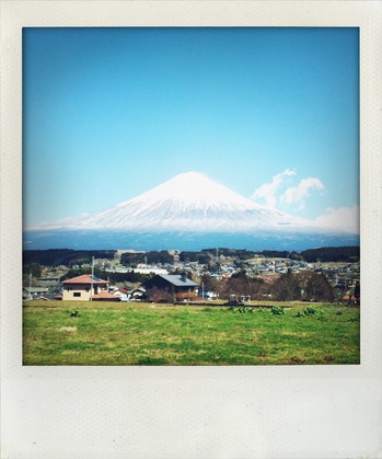 緑と富士山.JPG