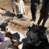 里山のようちえん「猟師体験とジビエ料理」