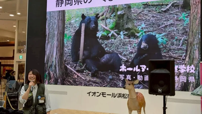 静岡県にいる”くま”のおはなし